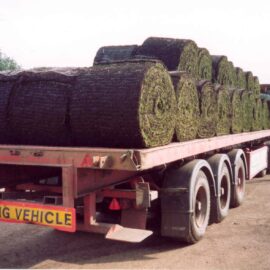 Big roll turf