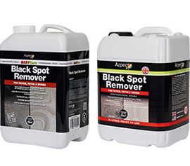easy black spot remover