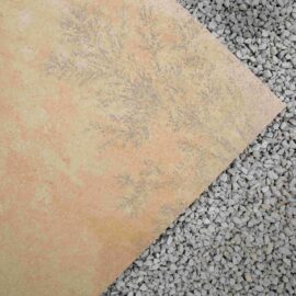 Fossil Mint Porcelain